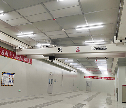 5t overhead crane in cleanroom