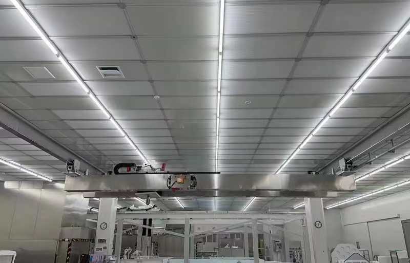 Cleanroom stainless steel overhead crane
